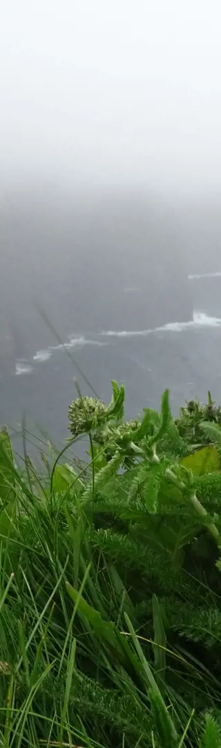 Cliffs of Moher